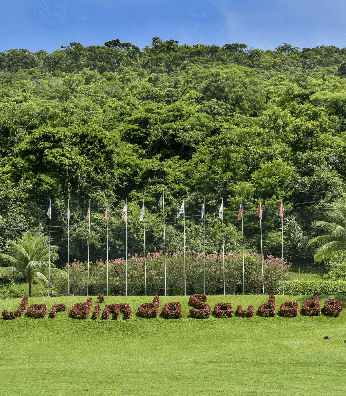 imagem escrito jardim da saudade num gramado com bandeiras acima
